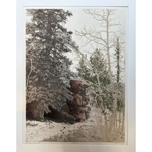 PAULA CRANE (b. 1945) "Spruce Tree Pt." Incredible Hand-Signed Etching  21/300